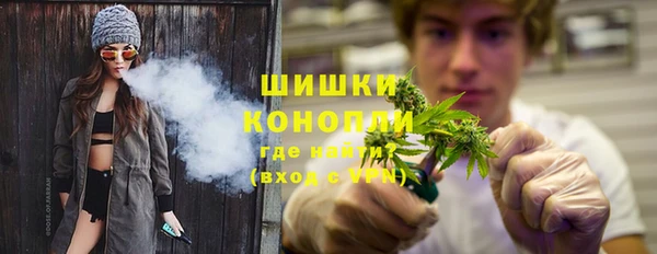 молекула духа Елабуга