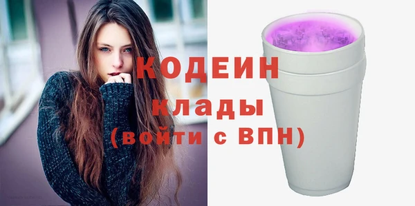 молекула духа Елизово