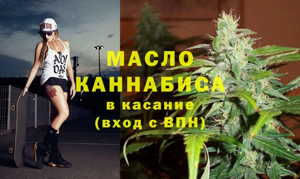 молекула духа Елабуга
