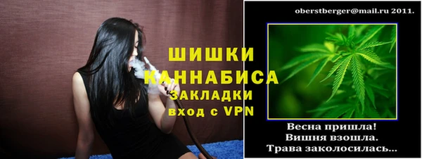 молекула духа Елизово