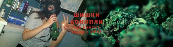 молекула духа Елизово