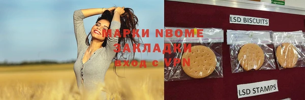 молекула духа Елизово