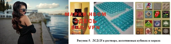молекула духа Елизово