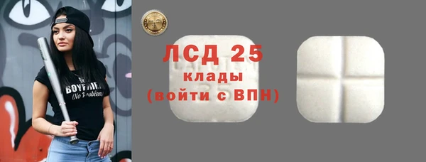 молекула духа Елабуга