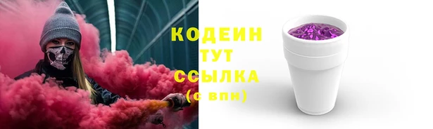 молекула духа Елабуга