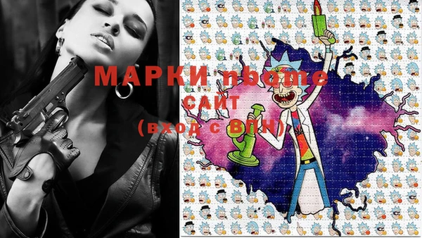 молекула духа Елизово