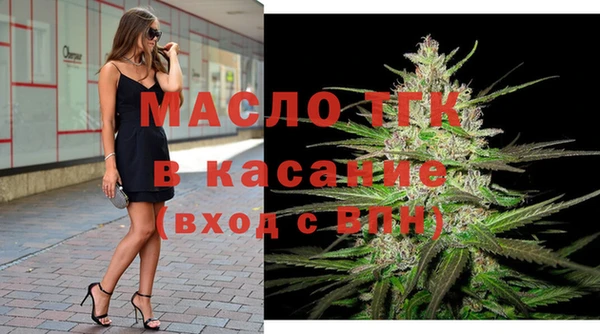 молекула духа Елизово