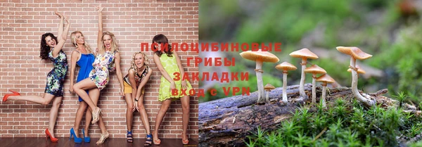 каннабис Ельня