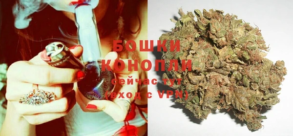 молекула духа Елизово