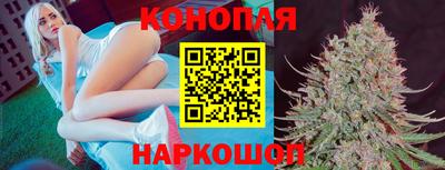 Альфа ПВП Краснознаменск