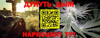 Альфа ПВП Краснознаменск