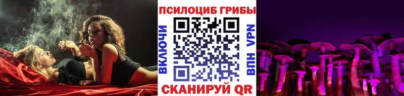 Галлюциногенные грибы Magic Shrooms  сколько стоит  Зеленогорск 