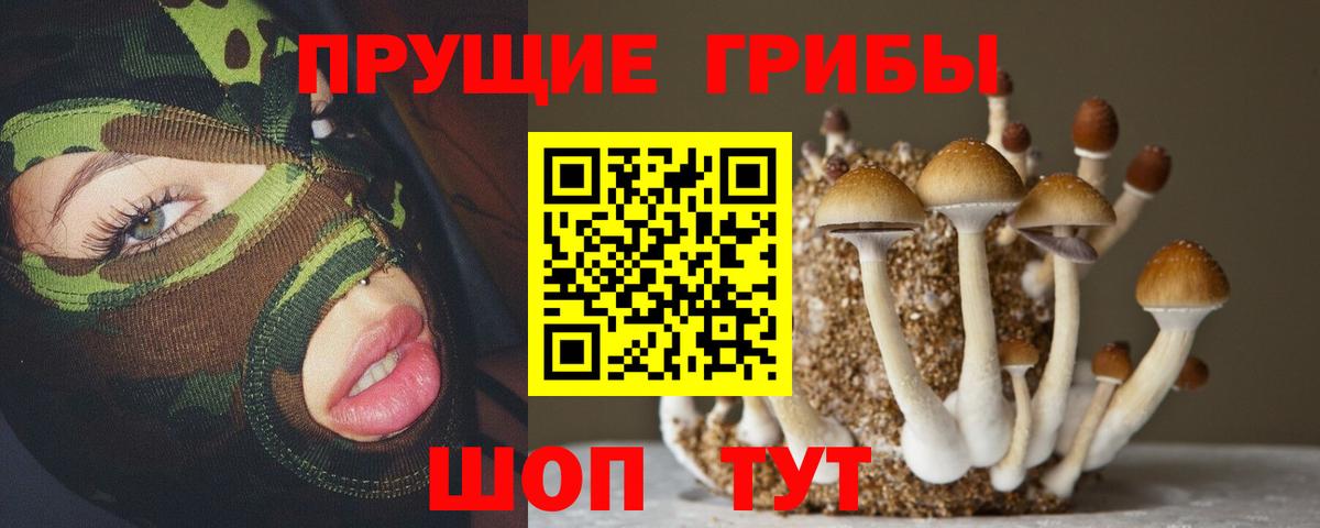 Зеленогорск  Галлюциногенные грибы ЛСД  Вход с VPN 